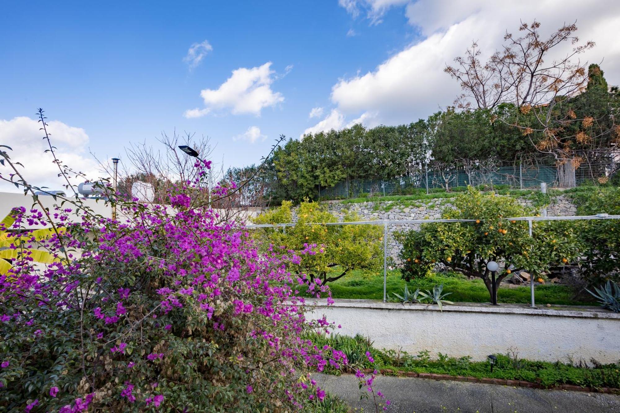 Rose Of Crete Aparthotel Platanés Exterior foto